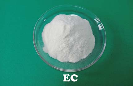 Ethylcellulose (EG)