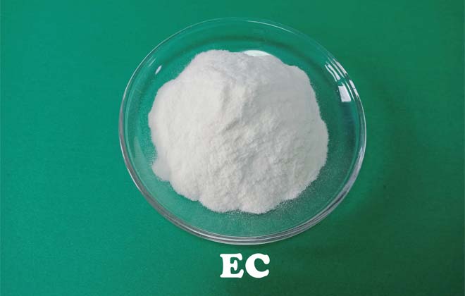 Ethylcellulose (EG)