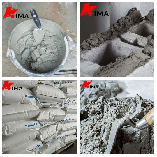 what-role-does-rdp-play-in-plaster2.jpg
